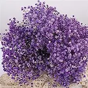 400g, 19.5-Inch Long Preserved Baby's Breath Flower Bouquets,Natrual Gypsophila Long Lasting Flowers for Vase Arrangements Home Decoration Photo Props Parties and Weddings,Eternal Flowers.(Light purpl