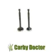 INTAKE VALVE & EXHAUST VALVE FOR ROBIN SUBARU ENGINES EY20 VALVES