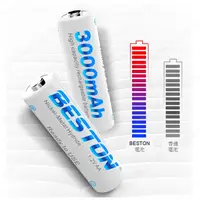 在飛比找蝦皮購物優惠-[YoYo攝影] BESTON 3000mAh *2入-佰仕