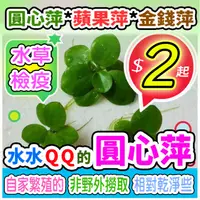 在飛比找蝦皮購物優惠-買10送1【現貨要快】＠圓心萍＠蘋果萍 招財開運水草 滿百元