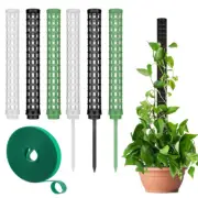 Plants Climbing Stick Plant Pole Sphagnum Plant Support Trellis Frame Water Moss