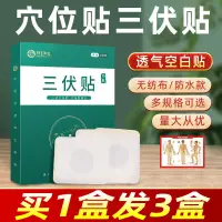 在飛比找蝦皮商城精選優惠-精選蘄春艾草三伏貼兒童成人穴位貼冬病夏治艾灸祛驅濕寒膝蓋三伏