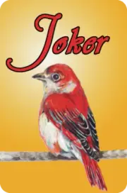 Mah Jongg Jong Mahjong 10 Joker Stickers - Set #270 ** Free Shipping **