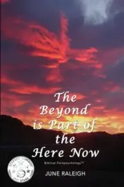 The Beyond is Part of the Here Now by Raleigh, June [Paperback]