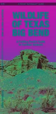 在飛比找博客來優惠-Wildlife of Texas Big Bend: A 