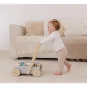 Wooden Baby Push Cart & Walker with Blocks