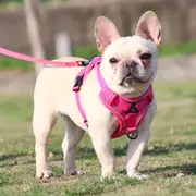 Dog Harness Leash Set Adjustable Pet Harness Vest For Small Large Cat-Rose Red