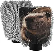 XYMZR Moon Capybara Retro Absorbent Microfiber Car Wash Mitt, Funny Cute Anime Scratch Free for Cars Cleaning, Home Cleaning Mitts, 2 Pack, 10.24” L x 7.09” W