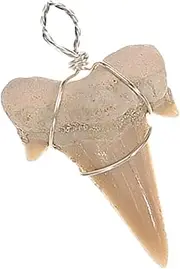 Kisangel Teeth Jewelry Charm Pendant DIY Shark Tooth Charm for Crafting for Necklaces Bracelets and Keychains Unique Design for Creative Projects