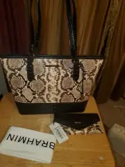 Brahmi Medium Asher Tote Handbag In Multi Dunbar with matching Veronica Wallet