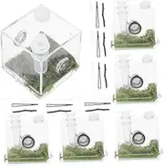 Abaodam 2Sets Acrylic Jumping Spider Enclosure Habitat Box for Breeding Insects and Reptiles Durable and Transparent Design for and Beetles