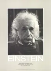 PHILIPPE HALSMAN Einstein 25.5" x 18.5" Offset Lithograph 1981 Photography Black