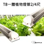 新一代LED植物燈管 T8層板燈2/4尺 全光譜  超高照度 高顯色 RA95 4000K色溫 室內種菜 養花 多肉植物