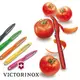 【詮國】瑞士百年經典 Victorinox 維氏 - 直立式削皮刀 / 削皮器 Universal Peeler 六色可選 - 7.6075 / VN248