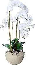 Décor Villa O225W Artificial Orchid, White
