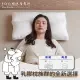 【DPillow】抗菌防機能枕頭-高支撐(奈米氧化鋅纖維 長短脖都適用 適當高支撐)