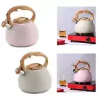 Teapot Teapot Anti Heat Handle Metallic Stove Top Loud Whistling Kettle for