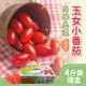 【家購網嚴選】 高雄美濃溫室玉女小番茄禮盒 4斤/盒 免運