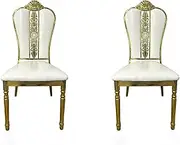 SAADHGG Stackable Elegant Party Event Wedding Chairs, Chair Oval Backrest Invisible Plastic Construction, Unique Style for Event Wedding Party Reception