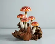 Red Mushroom Statue, Colorful, Painted Art, Fungi, Unique, Miniature, Home Gift