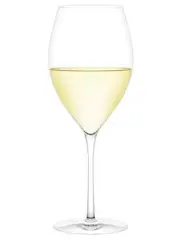 Plumm Vintage White A Wine Glasses, Set of 2