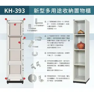 大富 D5（2門）KH-393-4002T (粉/綠/藍/橘/905色)多用途收納鑰匙鎖櫃 收納櫃 公文櫃（可改撥碼鎖）