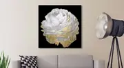 White Flower Stretched Canvas Print