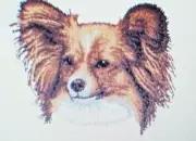 Papillon Dog Breed Bathroom HAND TOWELS EMBROIDERED SET Beautiful