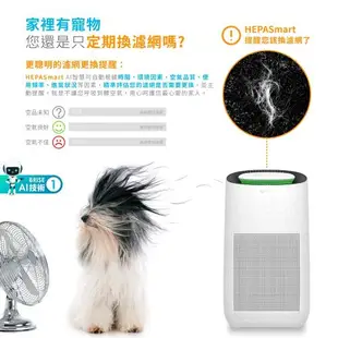 BRISE Breathe Odors C260抗菌除臭主濾網