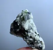 Tourmaline Crystal Specimen From Afghanistan54 Carats