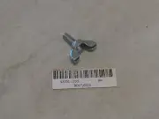 KAWASAKI MULE/KAF950/620/450/300/TECATE/KXF250 AIR CLEANER WING NUT/BOLT NOS!