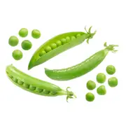 Pea (Shelling) - Novella Leafless seeds