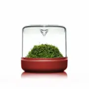 Sanctuary Claret For Fish Shrimp Snail Tank Aquarium