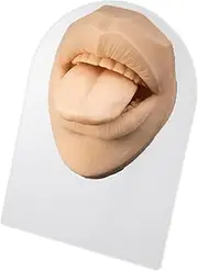 Silicone Mouth Model | Soft Silicone Flexible Mouth Model with Stand | Simulation Mouth Piercing Practice Human Body Parts, Teaching Tool for Jewelry Display Shwing