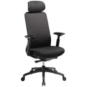 Pago Eris Ergonomic Office Chair Black
