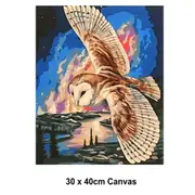 DIY Paint by Numbers Craft Painting Kit 30x40 Canvas Flying Owl