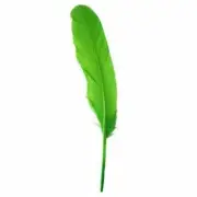 Goose Pointer Feathers 10 grams - Lime Green