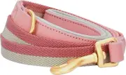 Blueberry Pet Polyester Fabric Webbing and Soft Genuine Leather Dog Leash