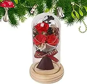 in Glass Dome ? Handmade Preserved Flower LED Lights, Romantic Gifte Women | Relaxing Mood Decor, Display for Bedroom, Or Valentine Day Surprise Accessories