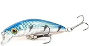 Hard Bass Fishing Lure with 3D Eyes, 6 Hooks, ABS Plastic, High Carbon Steel, 7cm, Saltwater & Freshwater, Realistic Design, T-Groove Hook Technology