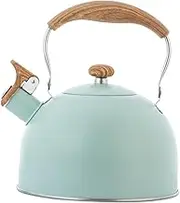 Cabilock 1Pc Whistling Teakettle Water Boiler with Folding Handle for Home Use Cafe Hotel Efficient Heating