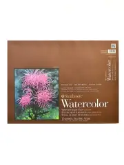 Strathmore 400 Series Watercolor Pad - 15 in. x 20 in. block of 15