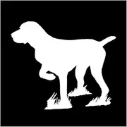 HaiRxr Car Stickers Labrador Dog Car Decoration Accessories Decals Creative (Color : White, Size : 12cm*10cm)
