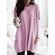Women's Mini Dress T Shirt Dress Tee Dress Shift Dress Casual Outdoor Daily Holiday Regular Fit Plain Long Sleeve V Neck White Pink Navy Blue Blue Summer