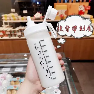 磨砂水壺玻璃吸管杯 吸管玻璃水壺 水瓶 韓國ins可愛卡通玻璃杯 有吸管的水壺隨身杯子可愛的水壺