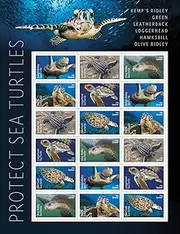 Protect Sea Turtles 2024 (Sheet of 18) First Class Mail Forever Postage Stamps