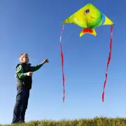 Children's Cartoon Animal Kite Colorful Tropical Fish Kite Flying Toys