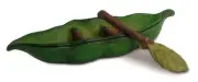 Miniature Pea Pod Canoe w Oars MG 86 Fairy Faerie Gnome Garden