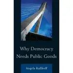 WHY DEMOCRACY NEEDS PUBLIC GOODS