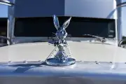 SHOTGUN BUNNY HOOD ORNAMENT SEMITRUCK UNIVERSAL PETERBILT FREIGHTLINER KENWORTH